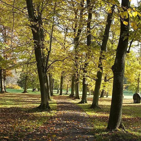 Szálloda Kurhaushotel 3*