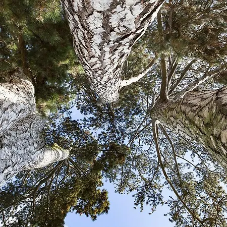 Kurhaushotel 3* Salzhausen