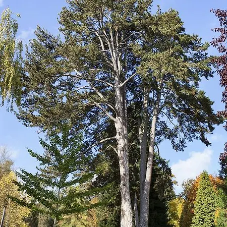 Hotel Kurhaushotel Salzhausen