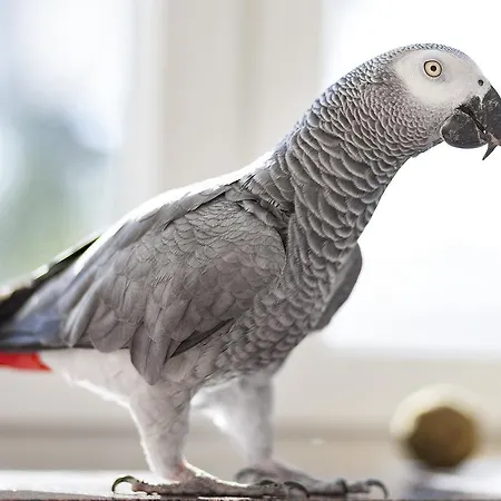 Kurhaushotel Hotel Salzhausen