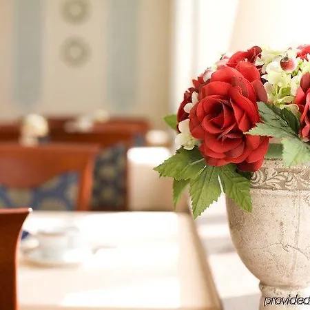 Kurhaushotel 3* Salzhausen